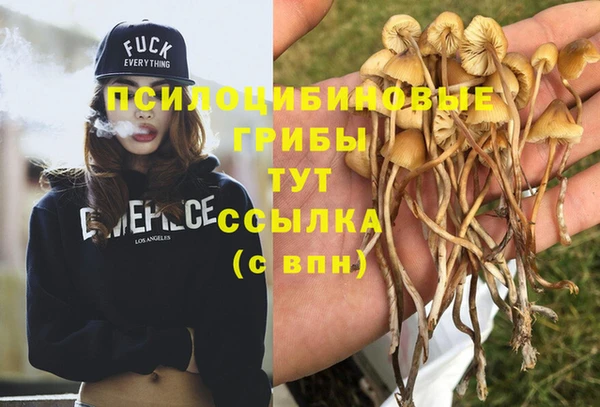 ПСИЛОЦИБИНОВЫЕ ГРИБЫ Алексин