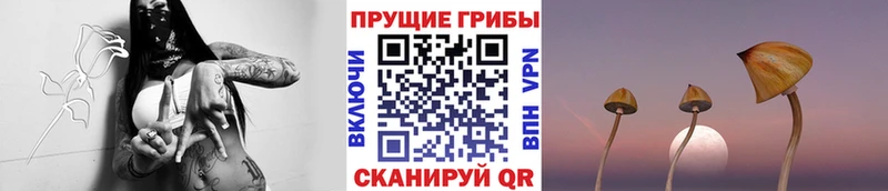 blacksprut рабочий сайт  Волжский  Псилоцибиновые грибы мухоморы 